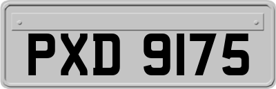 PXD9175