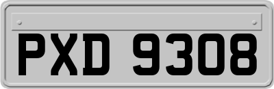 PXD9308