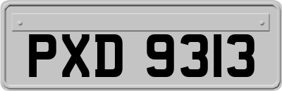 PXD9313