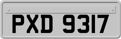 PXD9317