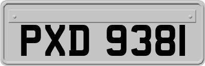 PXD9381