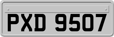 PXD9507