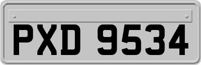 PXD9534