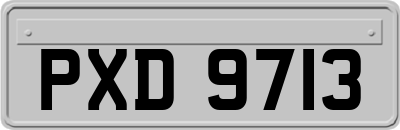 PXD9713