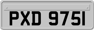 PXD9751