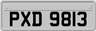 PXD9813