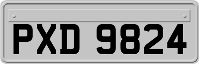 PXD9824