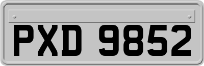 PXD9852