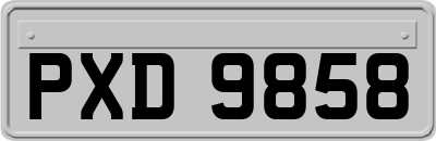 PXD9858