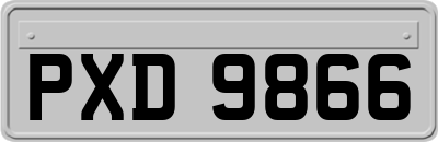 PXD9866