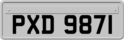 PXD9871