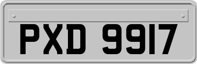 PXD9917