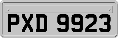 PXD9923