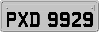 PXD9929