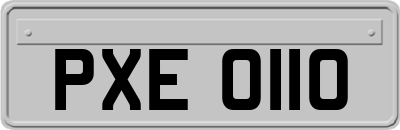 PXE0110