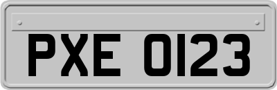 PXE0123