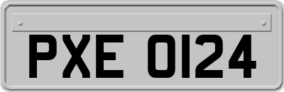 PXE0124