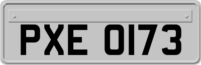 PXE0173