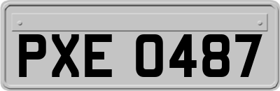 PXE0487