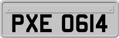 PXE0614