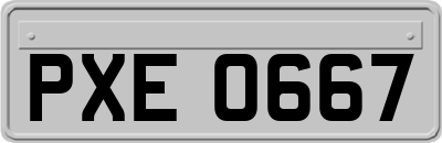 PXE0667