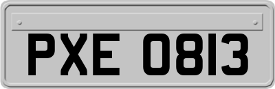 PXE0813