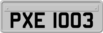 PXE1003