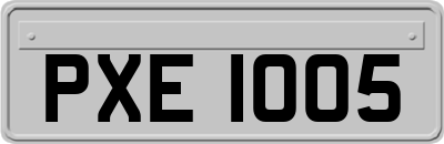 PXE1005