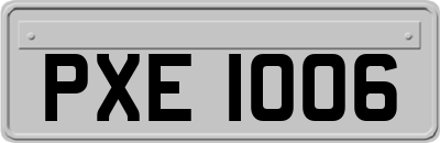 PXE1006