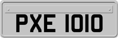 PXE1010