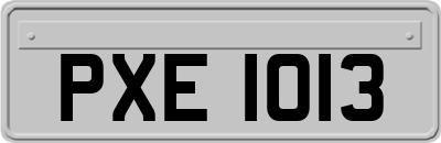 PXE1013