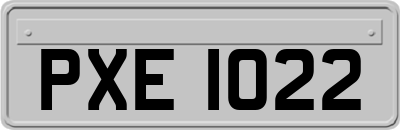 PXE1022