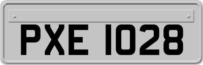 PXE1028