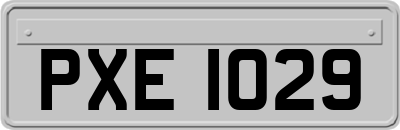 PXE1029