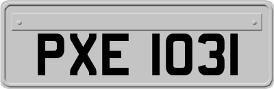 PXE1031