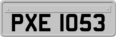 PXE1053