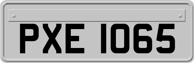 PXE1065