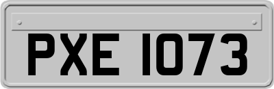 PXE1073