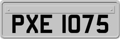 PXE1075