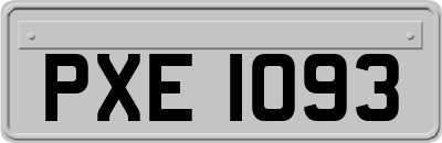 PXE1093