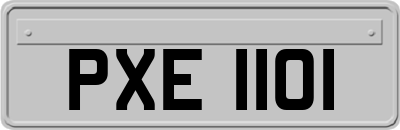 PXE1101