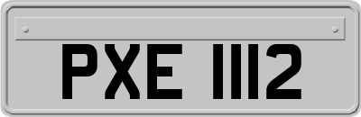 PXE1112