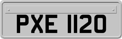 PXE1120