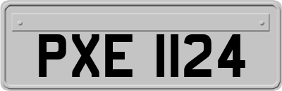 PXE1124