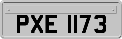 PXE1173