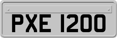 PXE1200