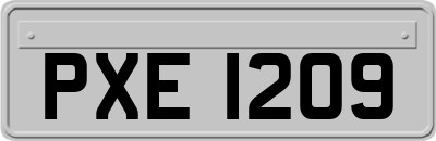 PXE1209