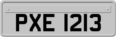 PXE1213