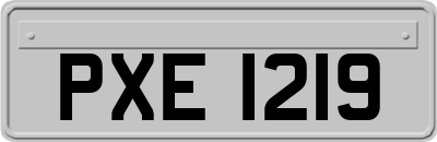 PXE1219