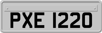 PXE1220